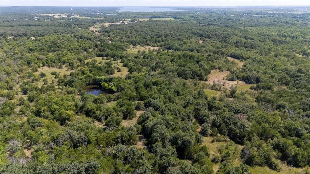 98 acres in Cooke County gallery image 3