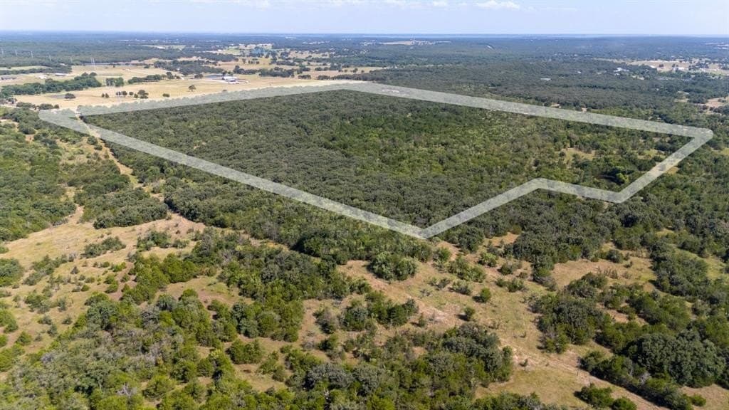 98 acres in Cooke County gallery image 4