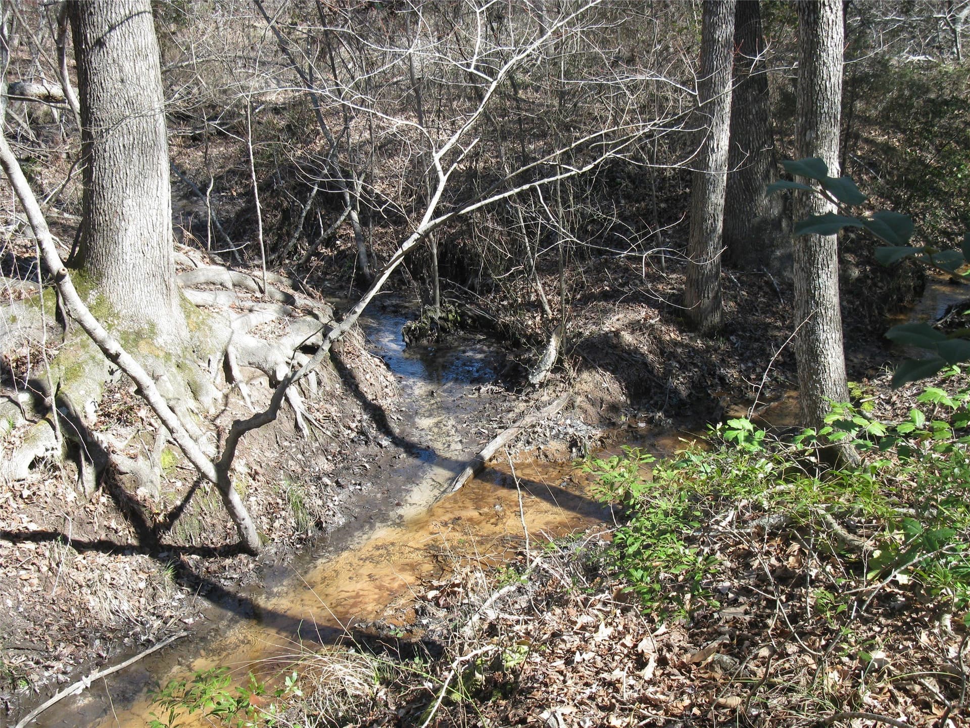 133.21 acres in Van Zandt County - photo 21