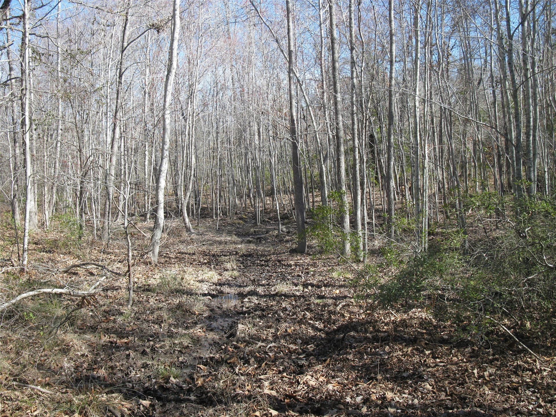 133.21 acres in Van Zandt County - photo 16