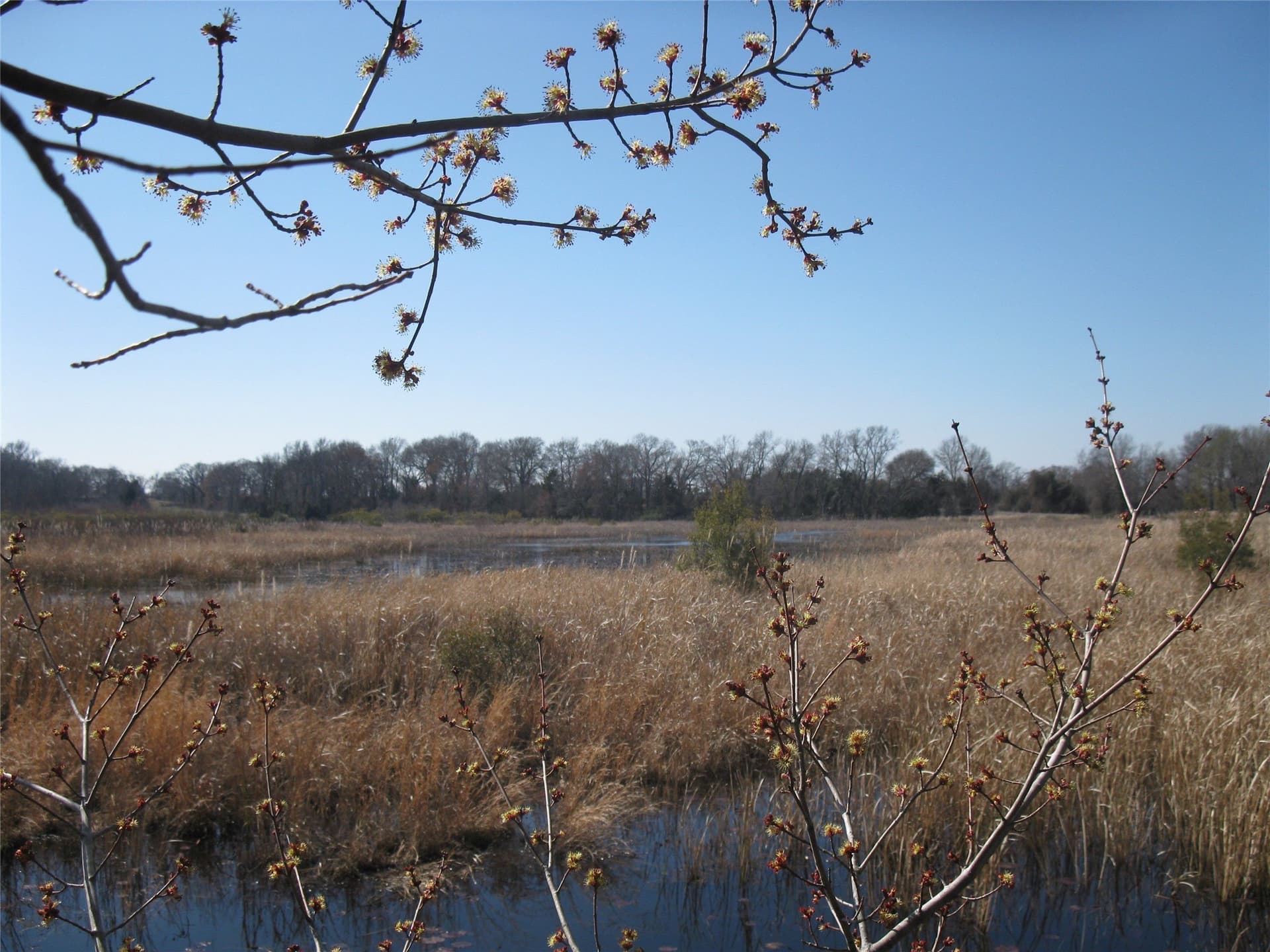 133.21 acres in Van Zandt County - photo 4