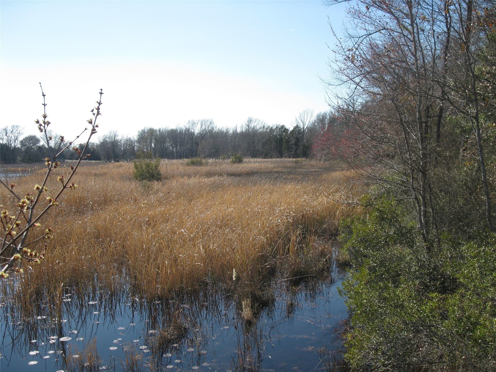 133.21 acres in Van Zandt County - photo 8