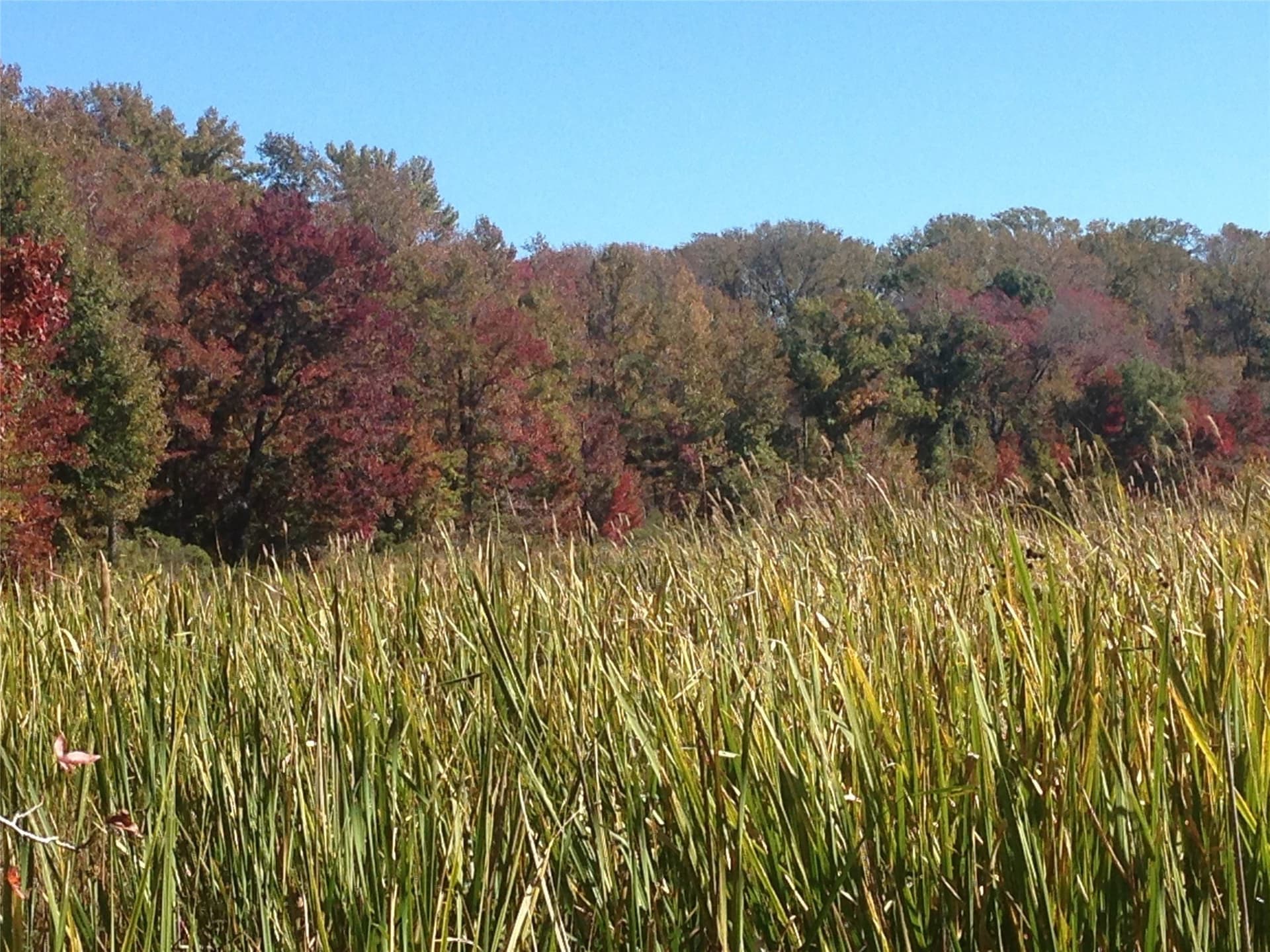 133.21 acres in Van Zandt County - photo 11
