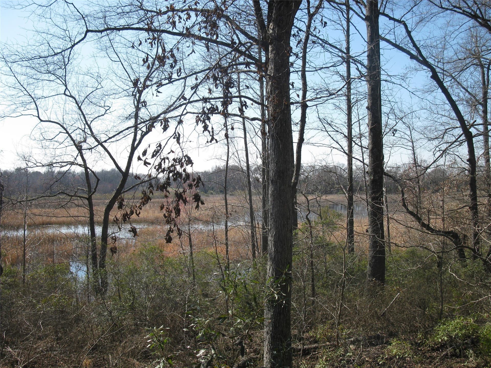 133.21 acres in Van Zandt County - photo 2