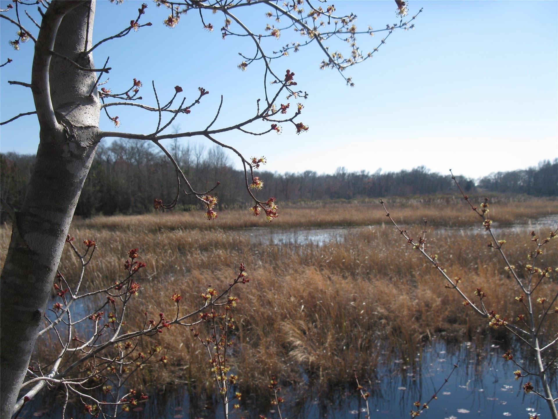 133.21 acres in Van Zandt County - photo 5