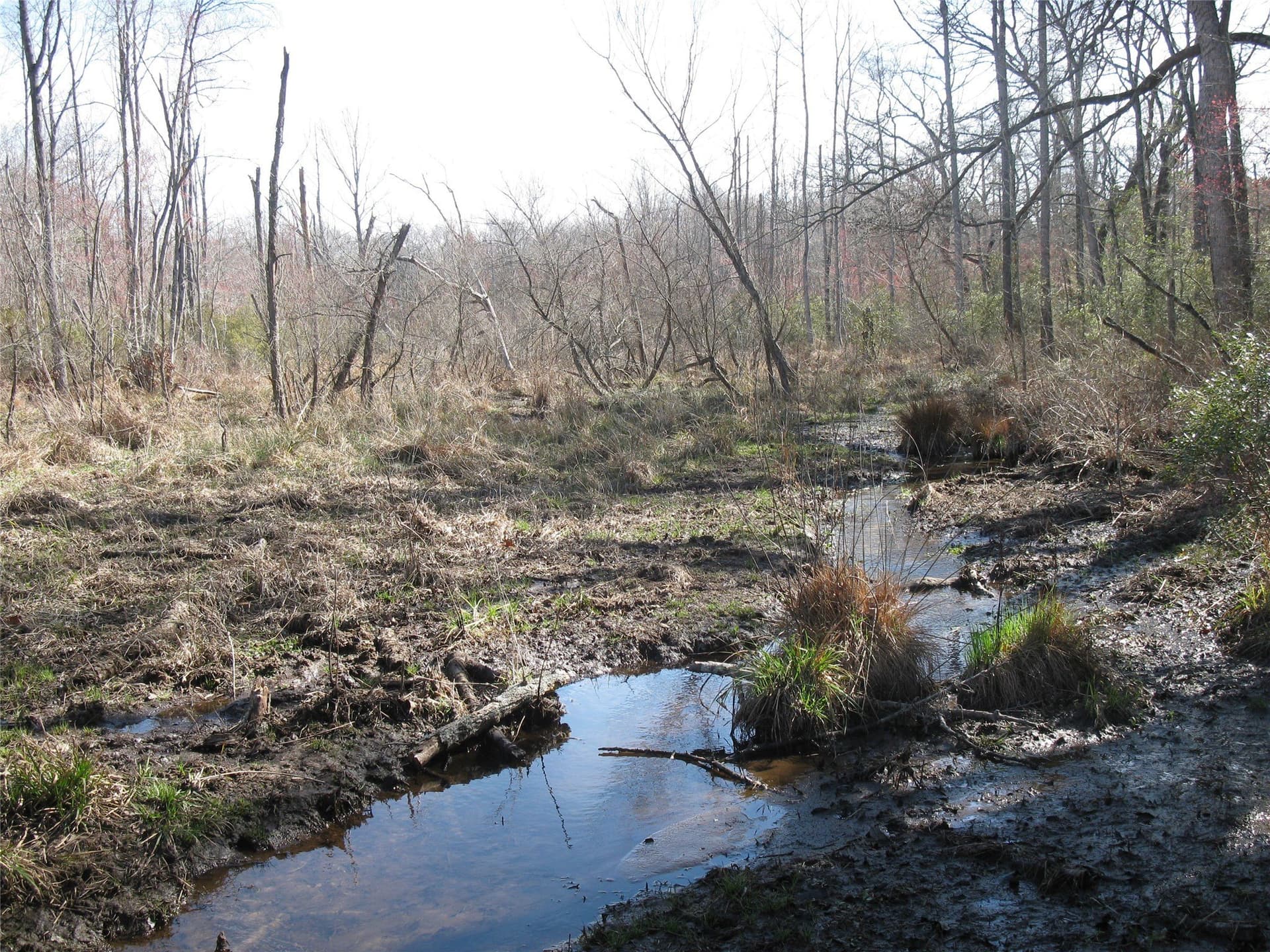133.21 acres in Van Zandt County - photo 15