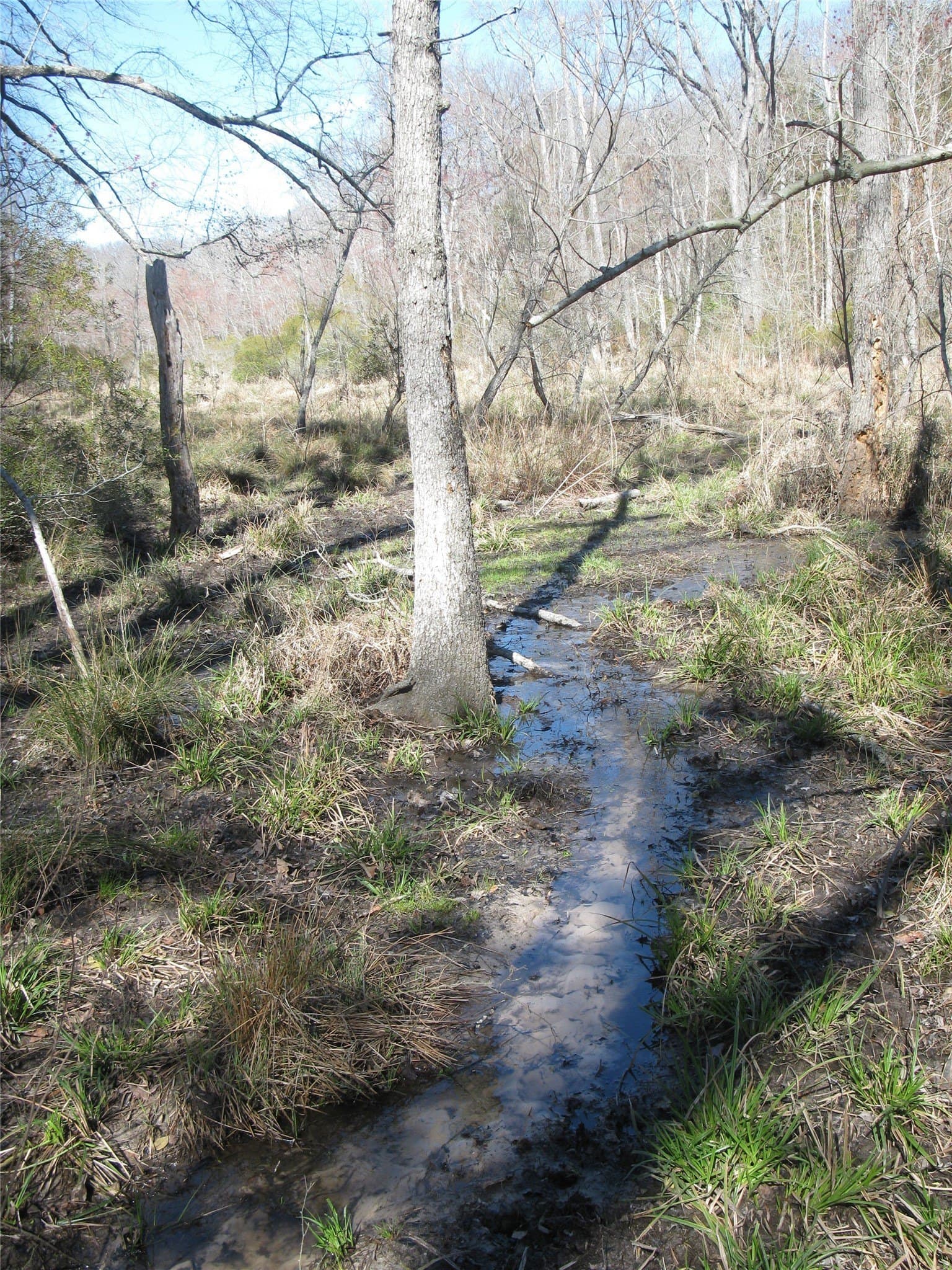 133.21 acres in Van Zandt County - photo 26