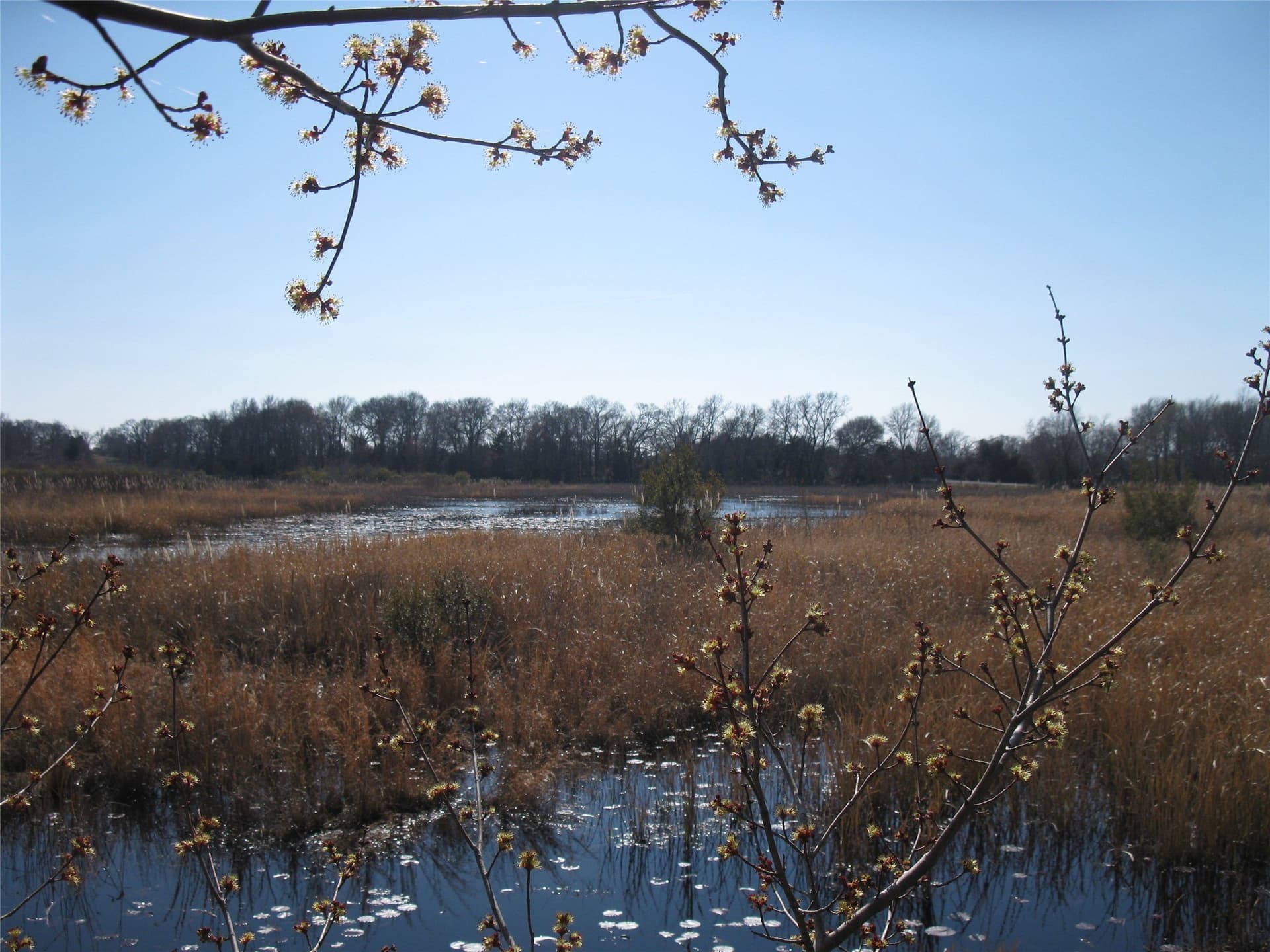 133.21 acres in Van Zandt County - photo 7