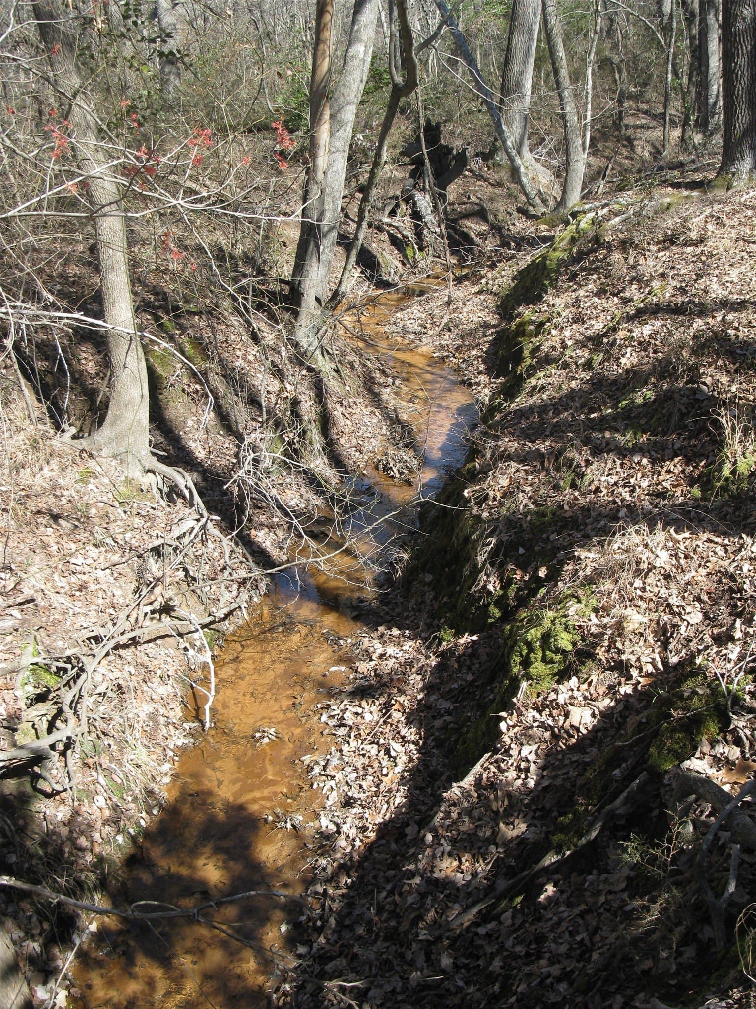 133.21 acres in Van Zandt County - photo 23