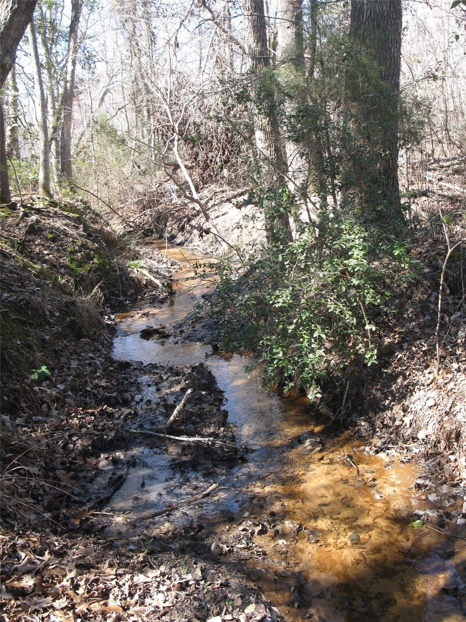 133.21 acres in Van Zandt County - photo 22
