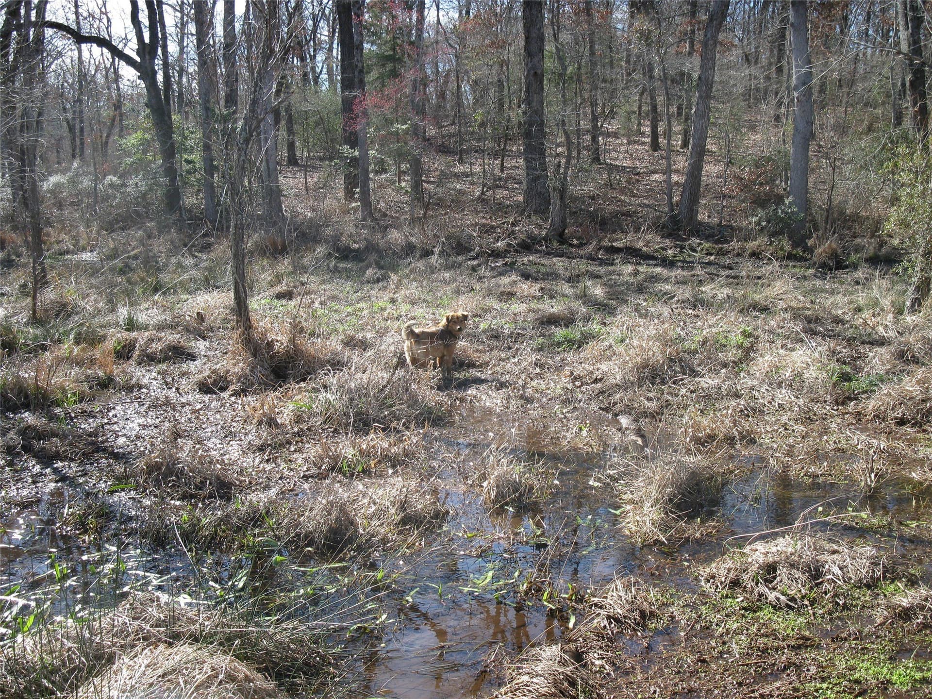 133.21 acres in Van Zandt County - photo 14