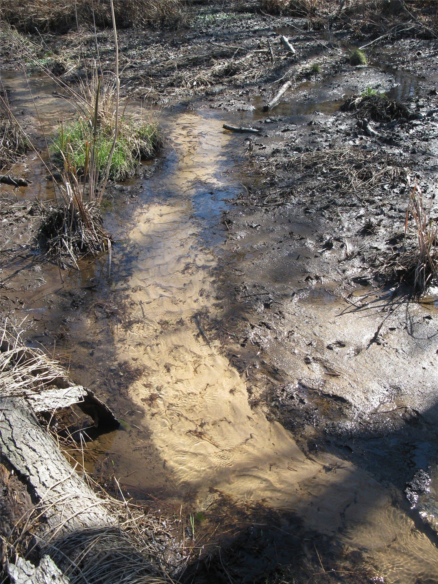 133.21 acres in Van Zandt County - photo 19