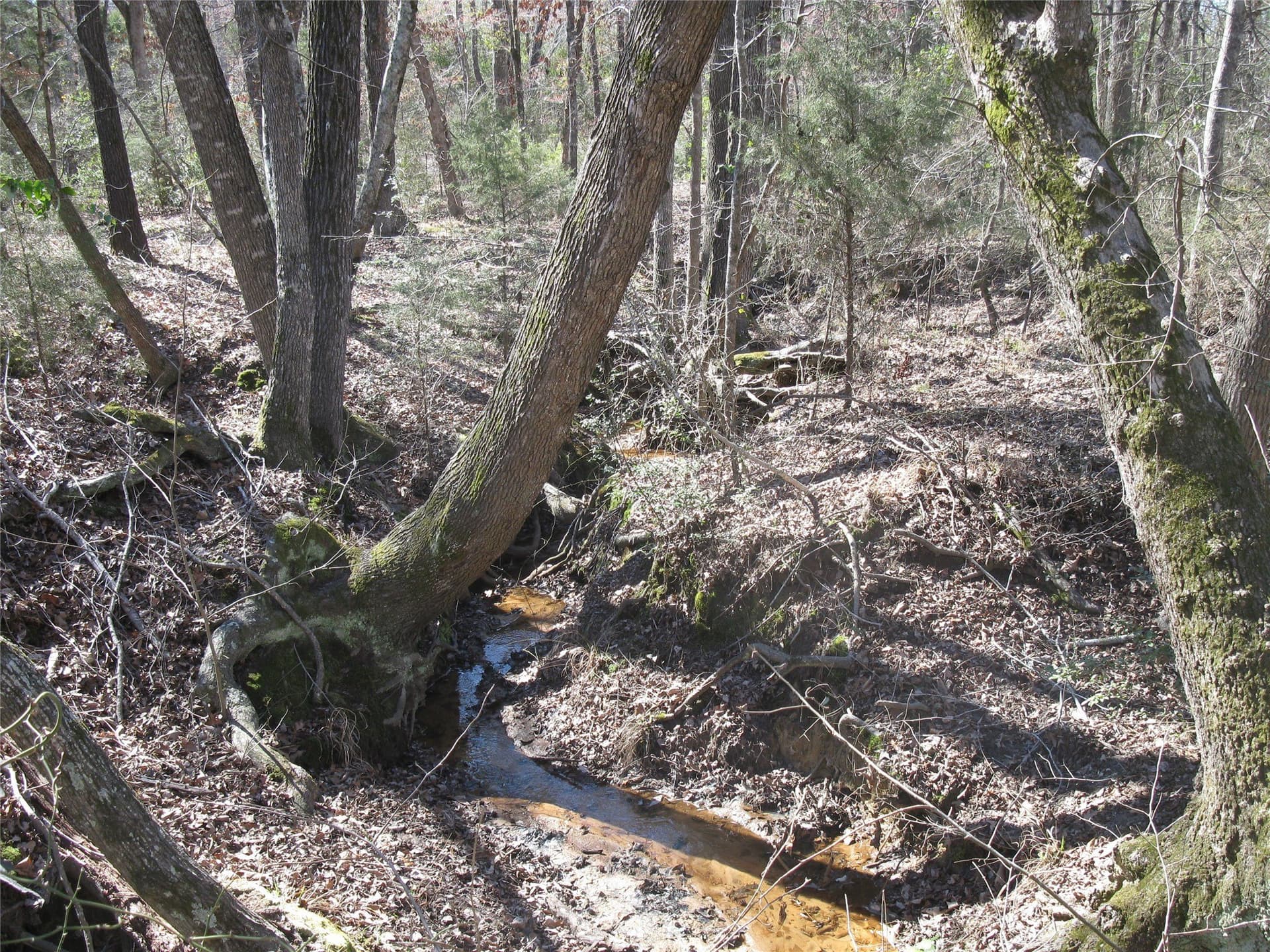 133.21 acres in Van Zandt County - photo 24