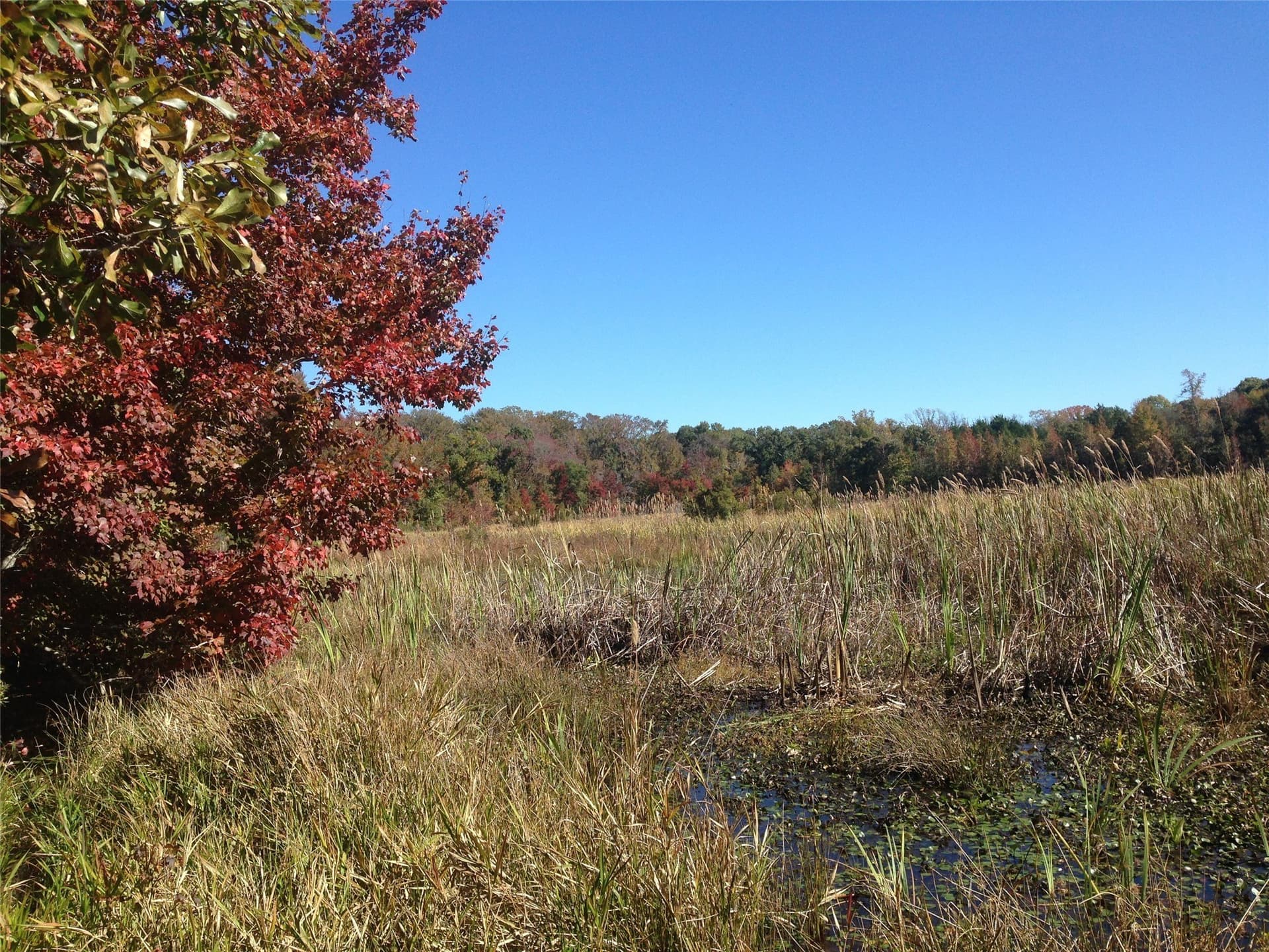 133.21 acres in Van Zandt County - photo 10