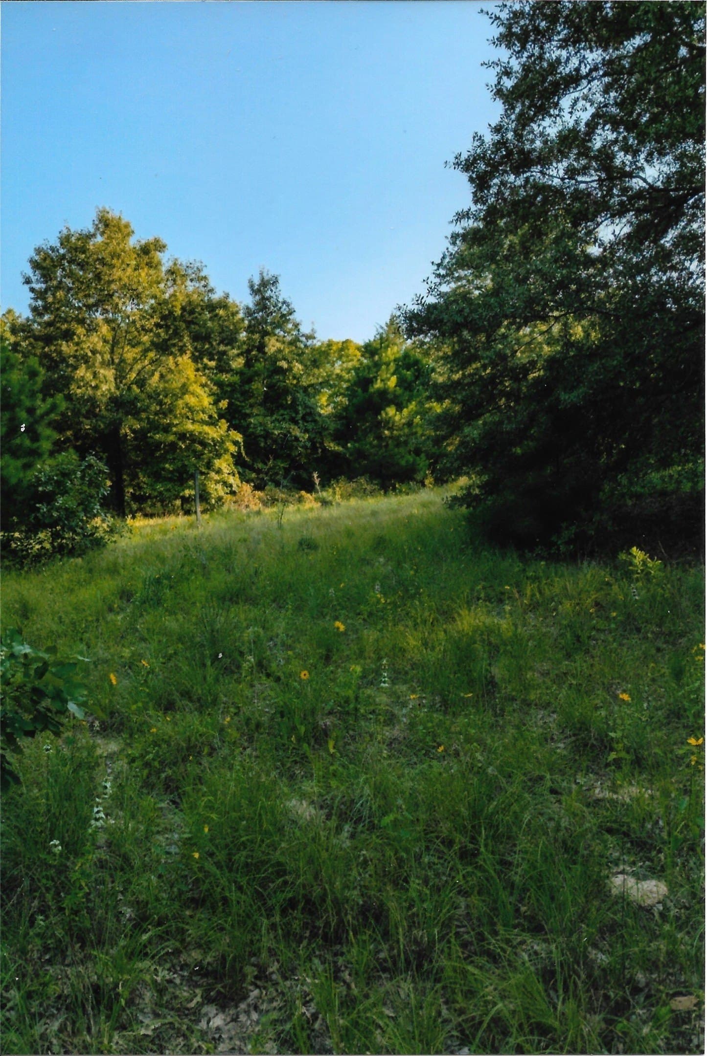 133.21 acres in Van Zandt County - photo 29
