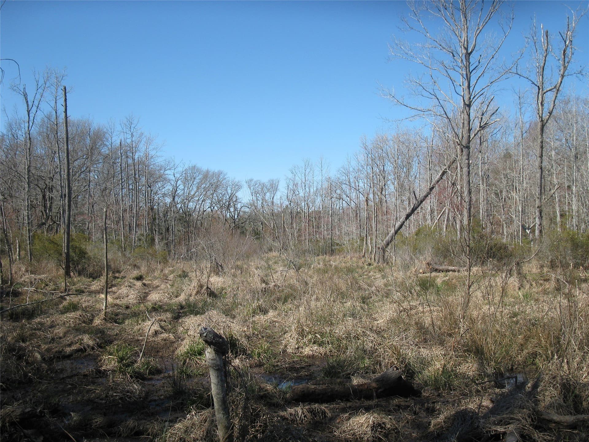 133.21 acres in Van Zandt County - photo 18