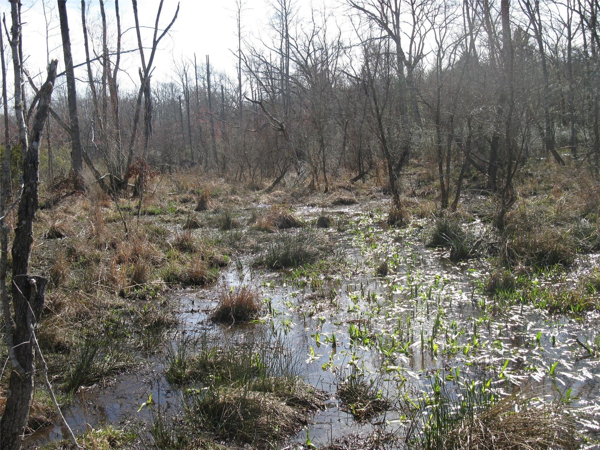 133.21 acres in Van Zandt County - photo 13