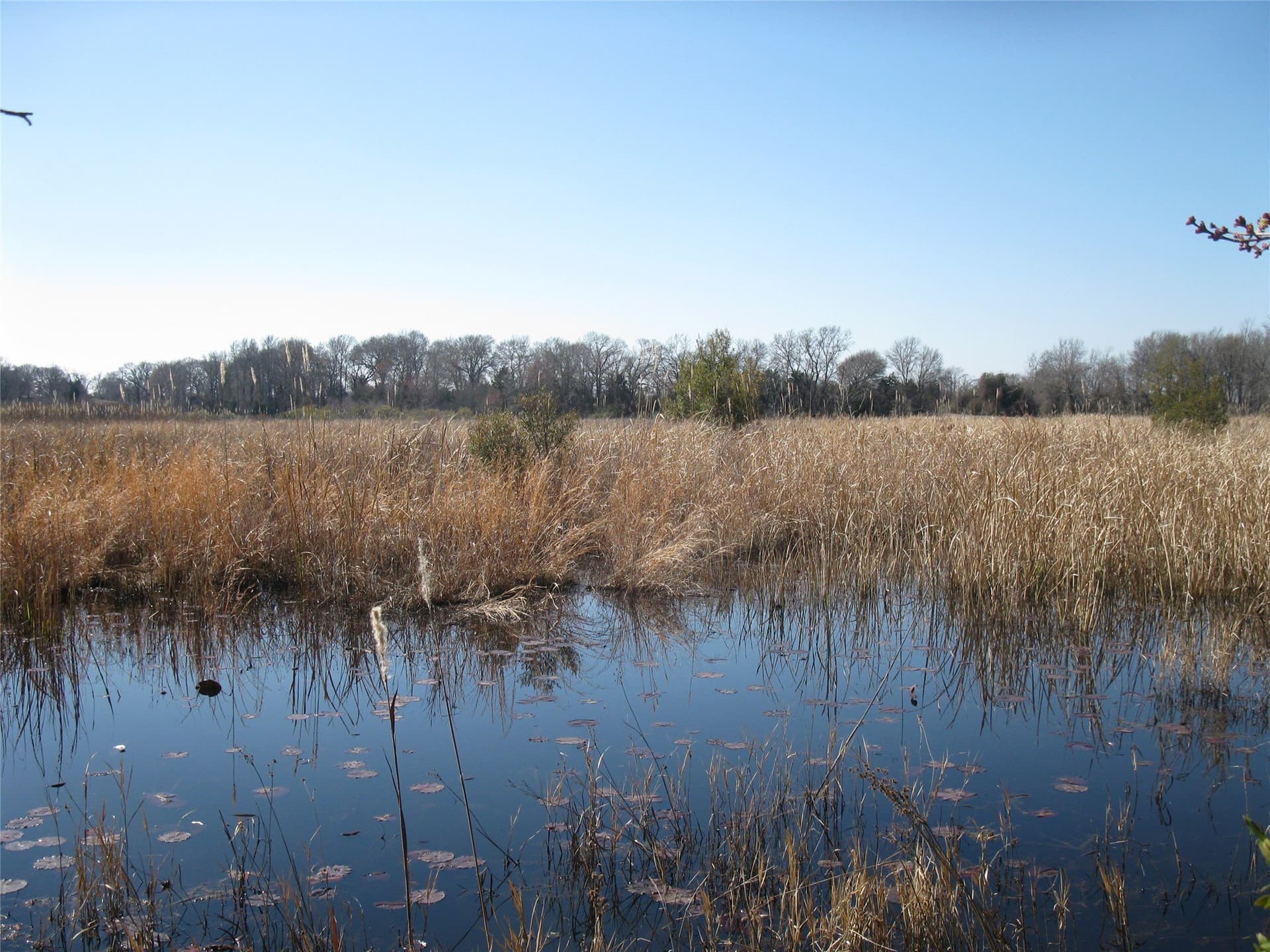 133.21 acres in Van Zandt County - photo 3
