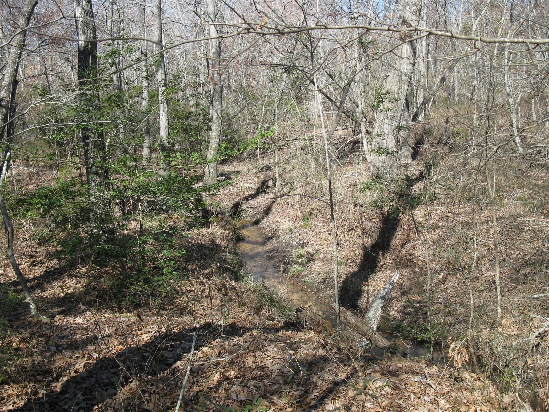 133.21 acres in Van Zandt County - photo 20