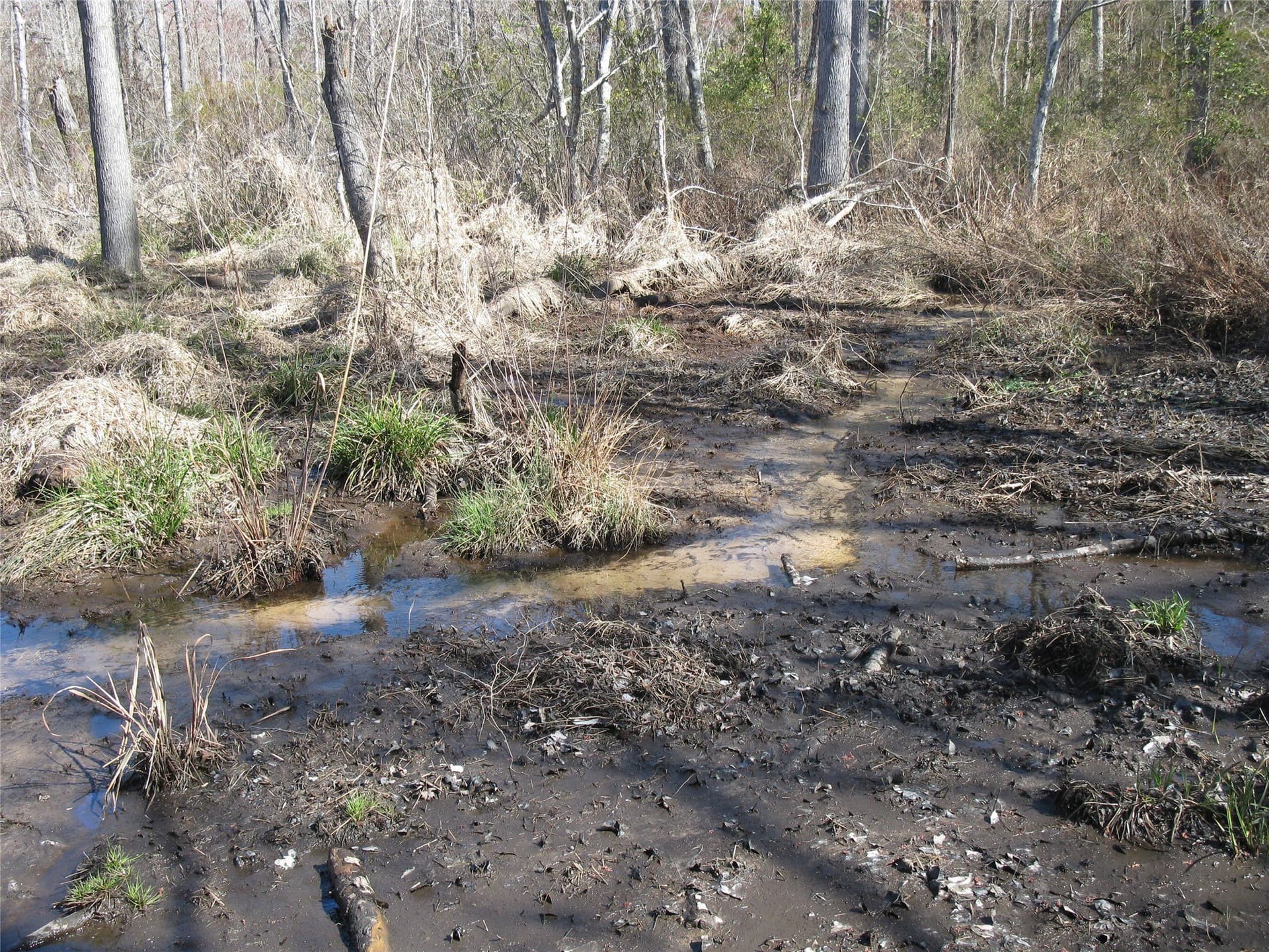 133.21 acres in Van Zandt County - photo 17