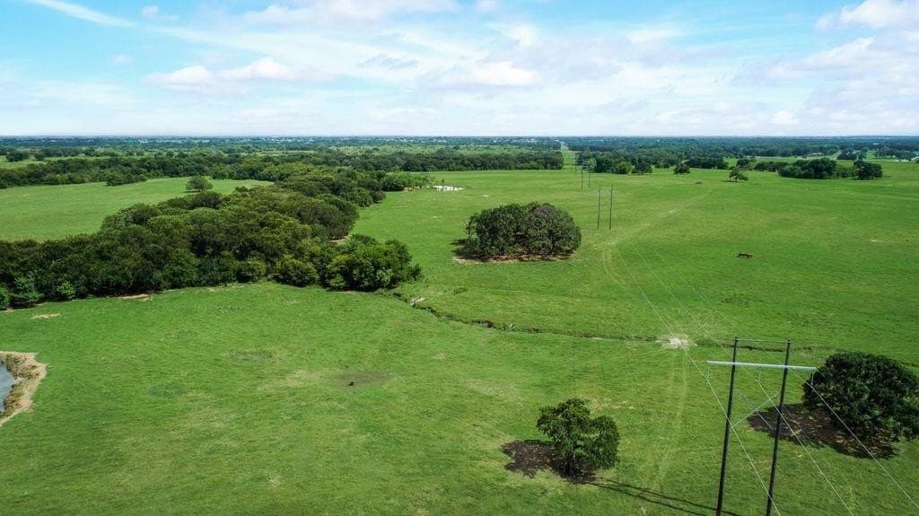 72 acres in Kaufman County gallery image 2