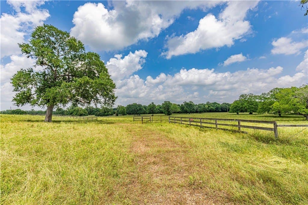 16.04 acres in AUSTIN County - photo 6