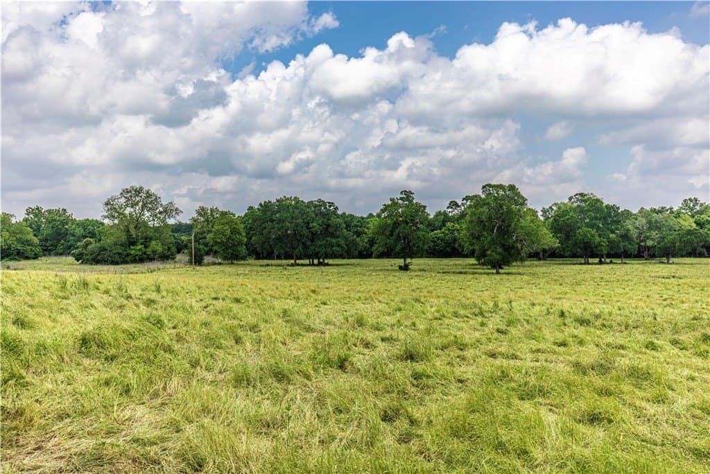 16.04 acres in AUSTIN County - photo 8
