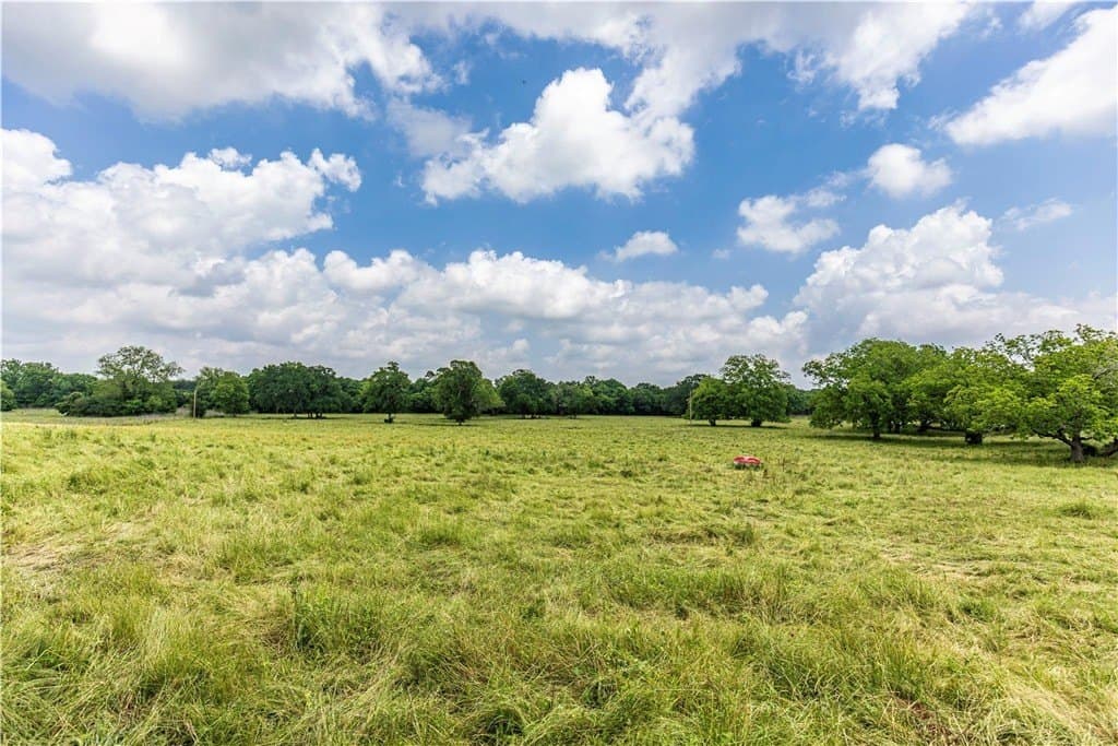 16.04 acres in AUSTIN County - photo 7
