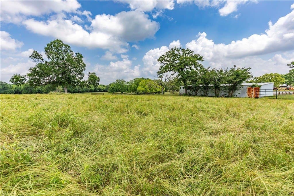 16.04 acres in AUSTIN County - photo 4