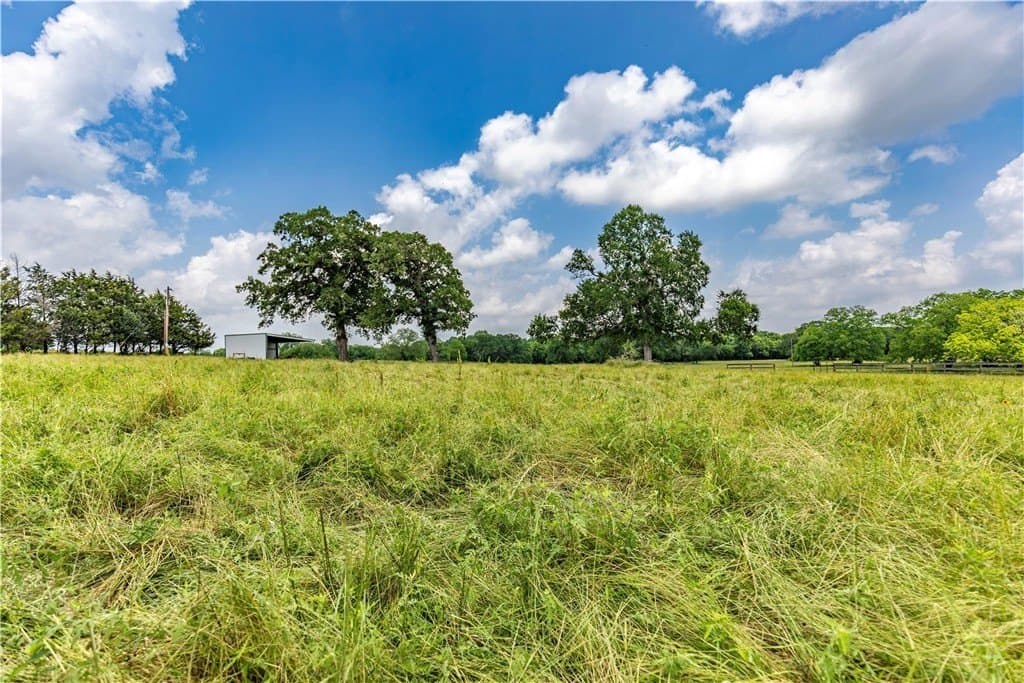 16.04 acres in AUSTIN County - photo 3