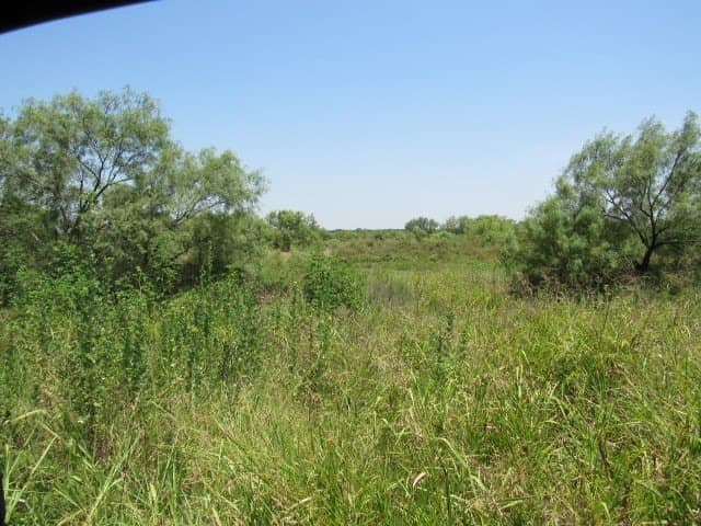 10 acres in Brown County - photo 9