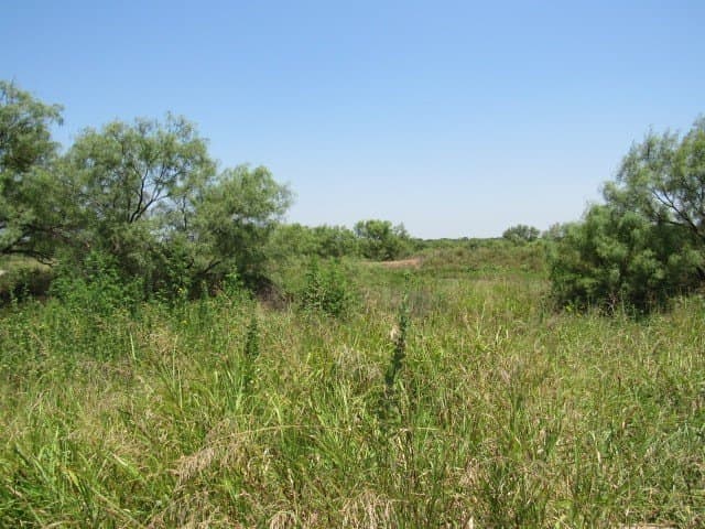 10 acres in Brown County - photo 10