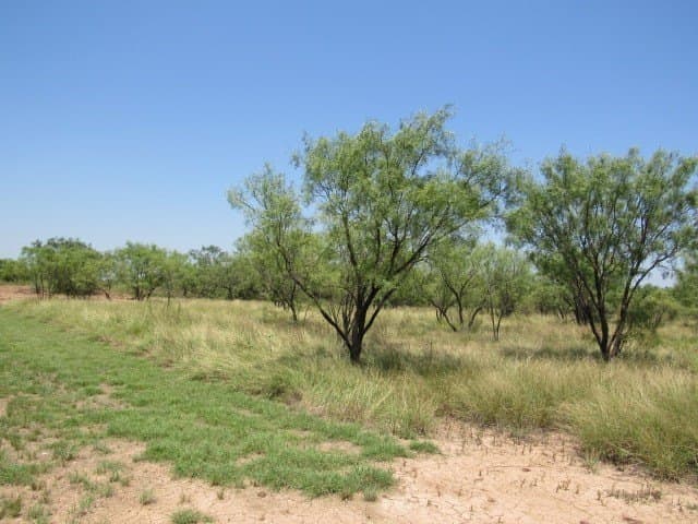 10 acres in Brown County - photo 4