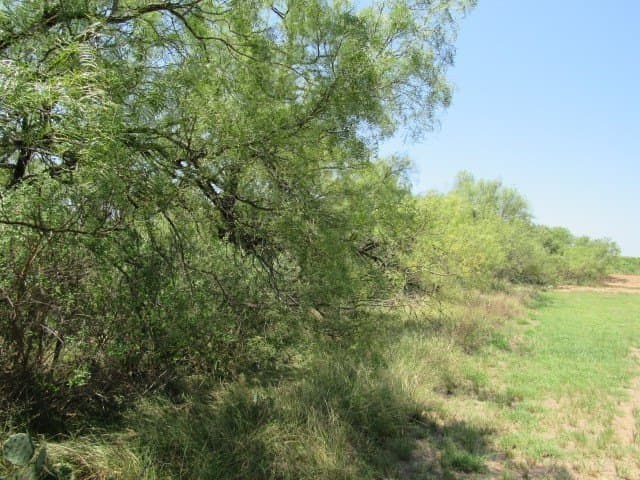 10 acres in Brown County - photo 6