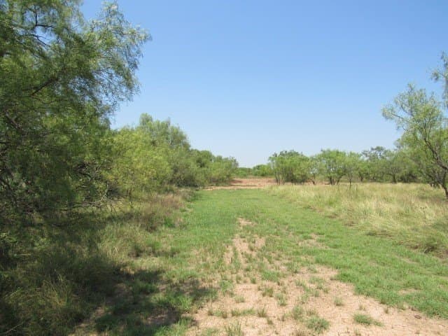 10 acres in Brown County - photo 5