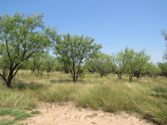 10 acres in Brown County - photo 3