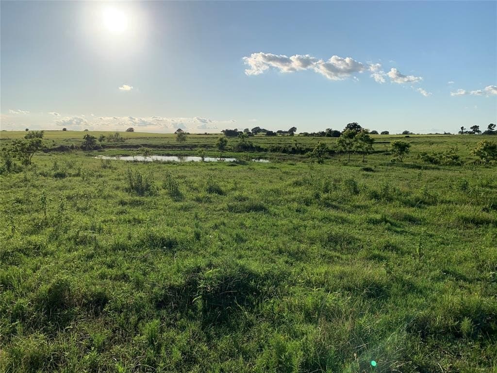 15.37 acres in Van Zandt County gallery image 3