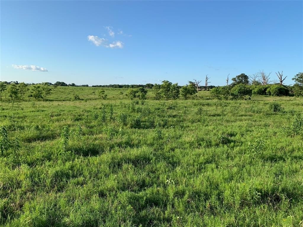 15.37 acres in Van Zandt County gallery image 4