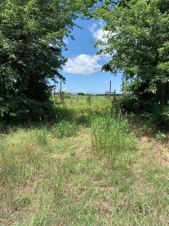 15.37 acres in Van Zandt County gallery image 2