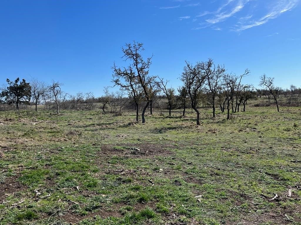 10.1 acres in Gillespie County featured view