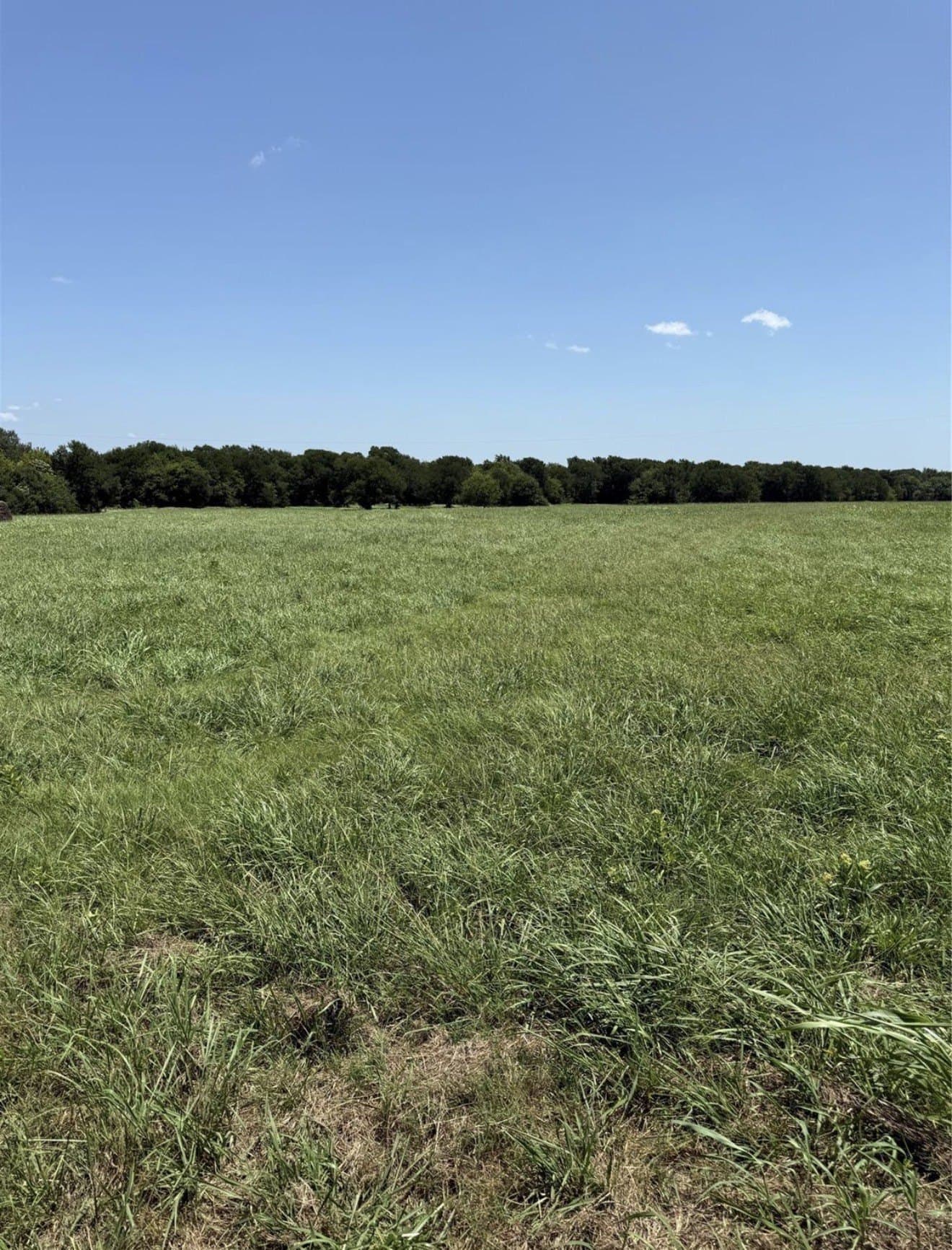 10.01 acres in Van Zandt County