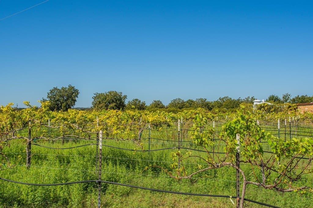 23.7 acres in Gillespie County - photo 19