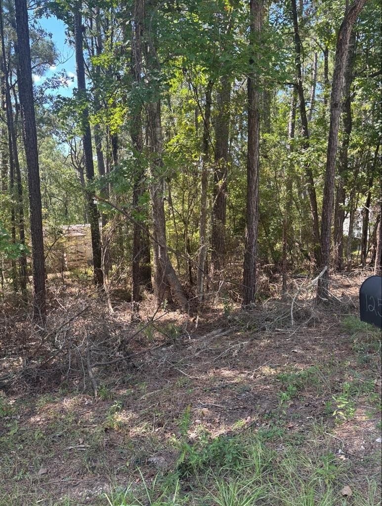 0.16 acres in Texas County gallery image 2
