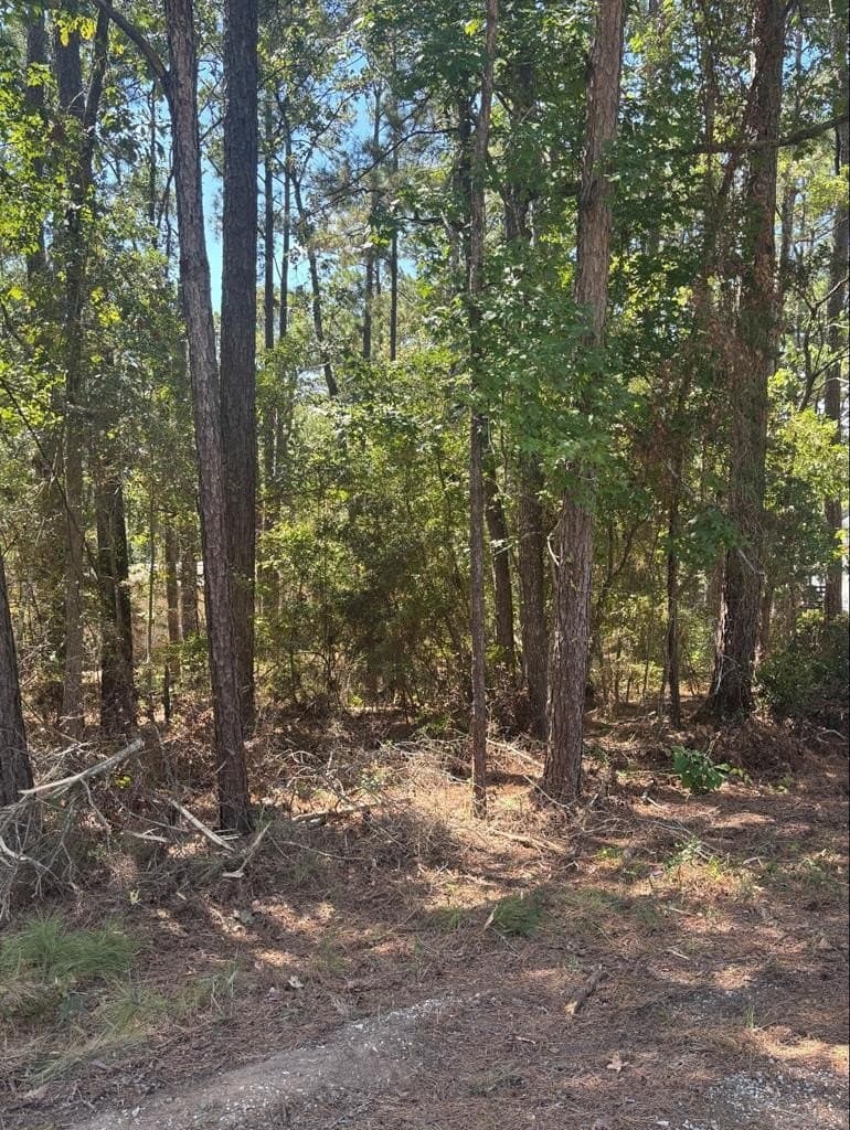 0.16 acres in Texas County featured view