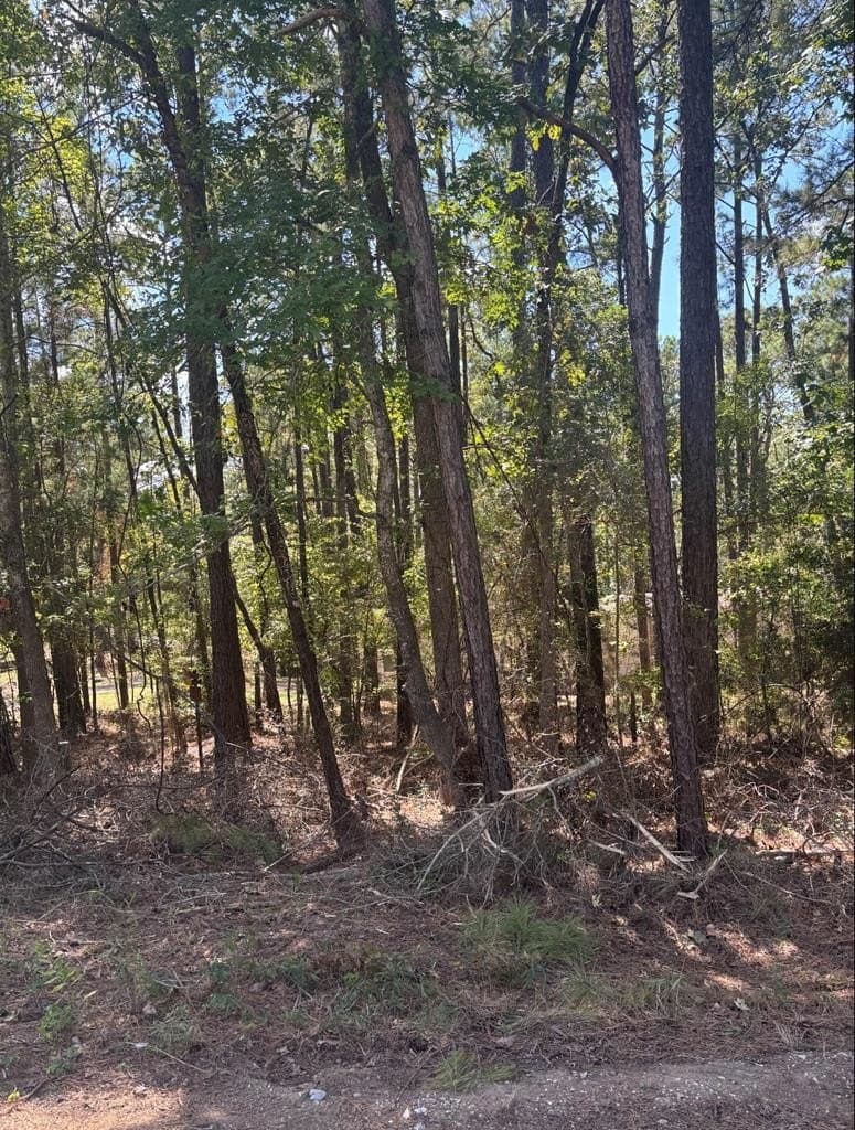 0.16 acres in Texas County gallery image 3