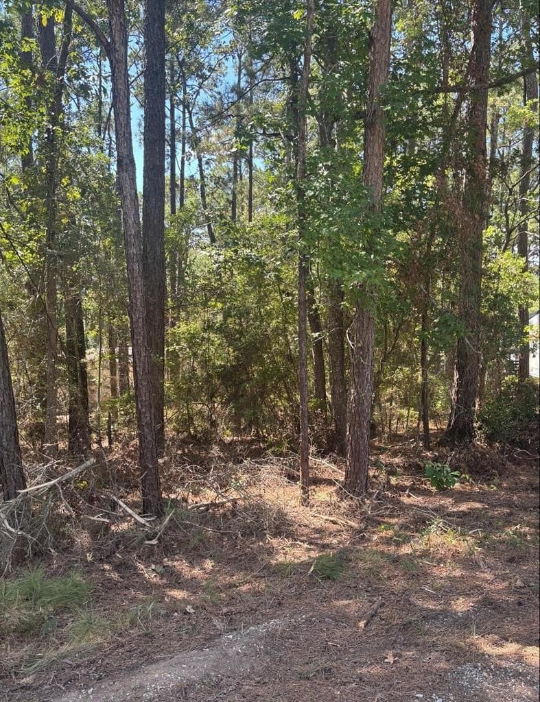 0.16 acres in Texas County gallery image 4