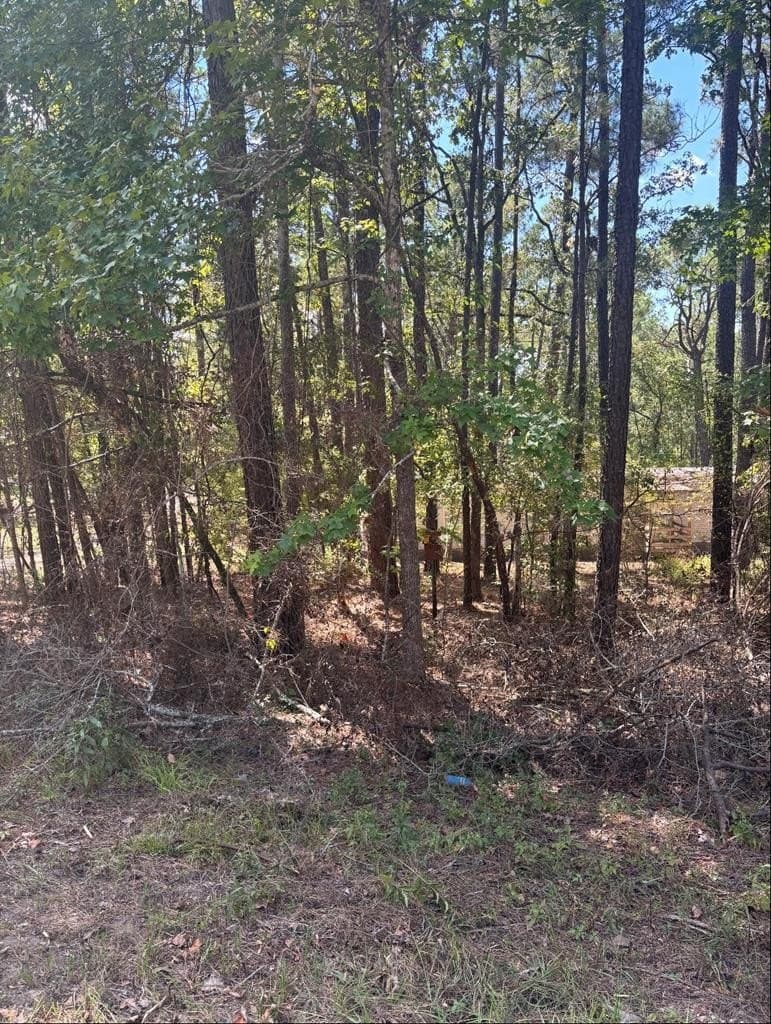 0.16 acres in Texas County - photo 6