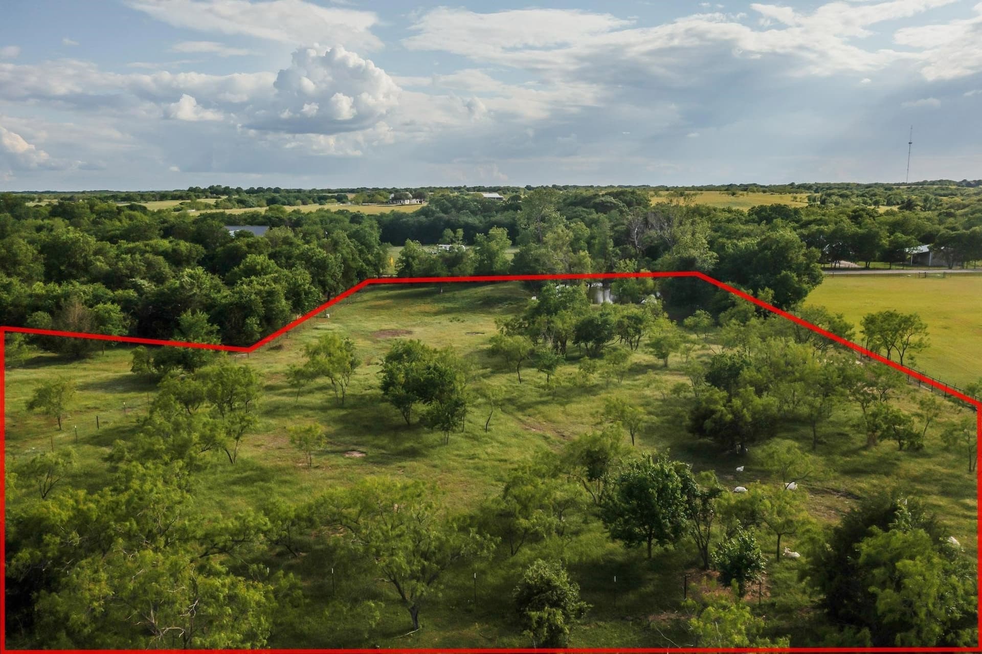 17.55 acres in Ellis County - photo 10