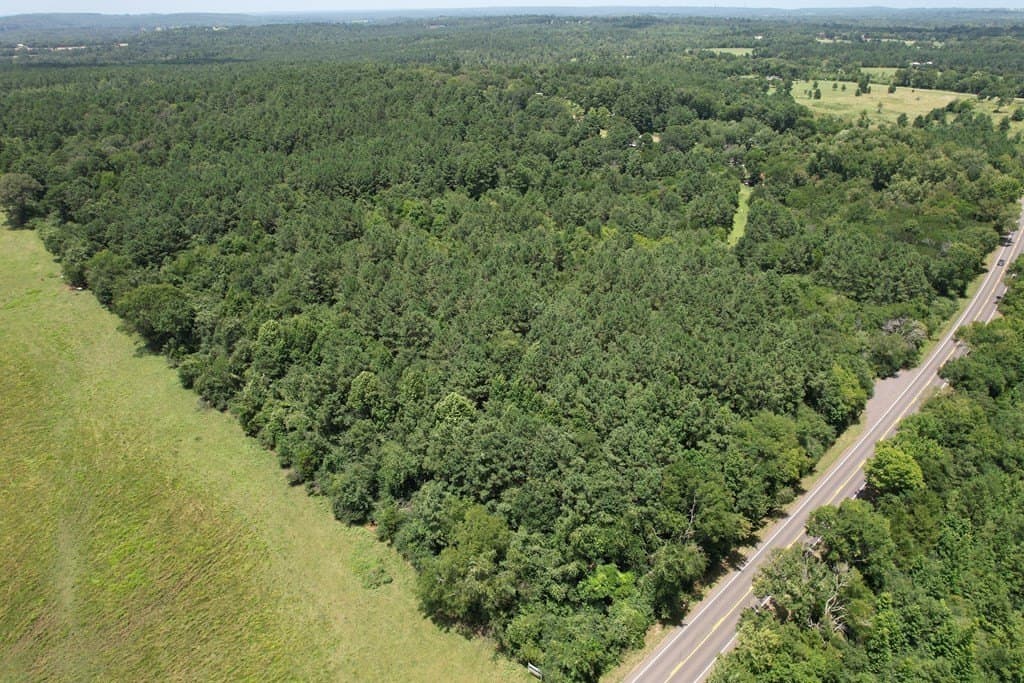 19.49 acres in Texas County - photo 8
