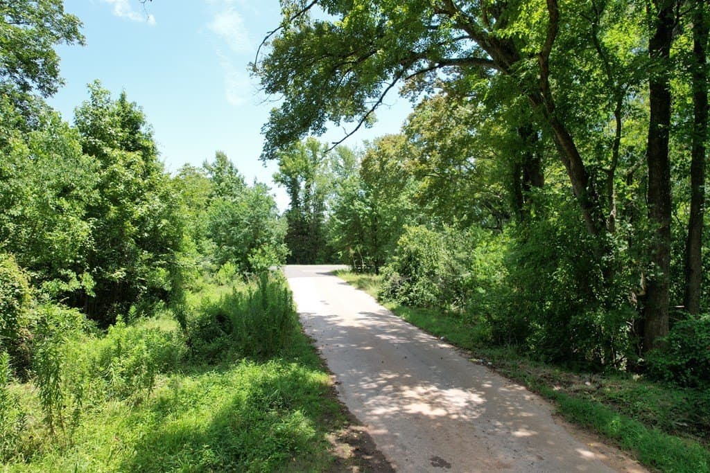 19.49 acres in Texas County - photo 11